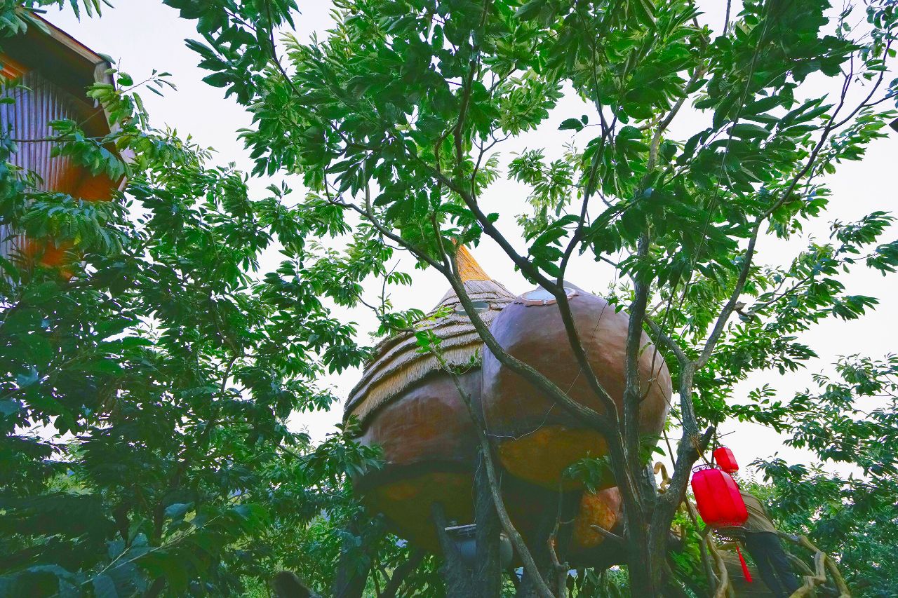 京东90分抵达田园度假区，住树屋，泡半山温泉，还有房车营地