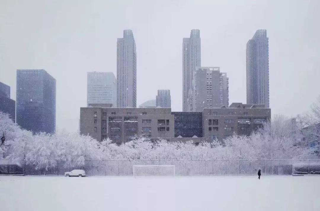 辽宁大学和鲁迅美术学院,辽宁省鲁迅美术学院是985吗