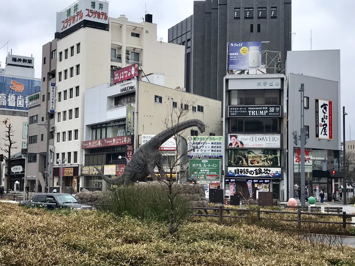 青春18旅游通票怎么买,坐jr游日本