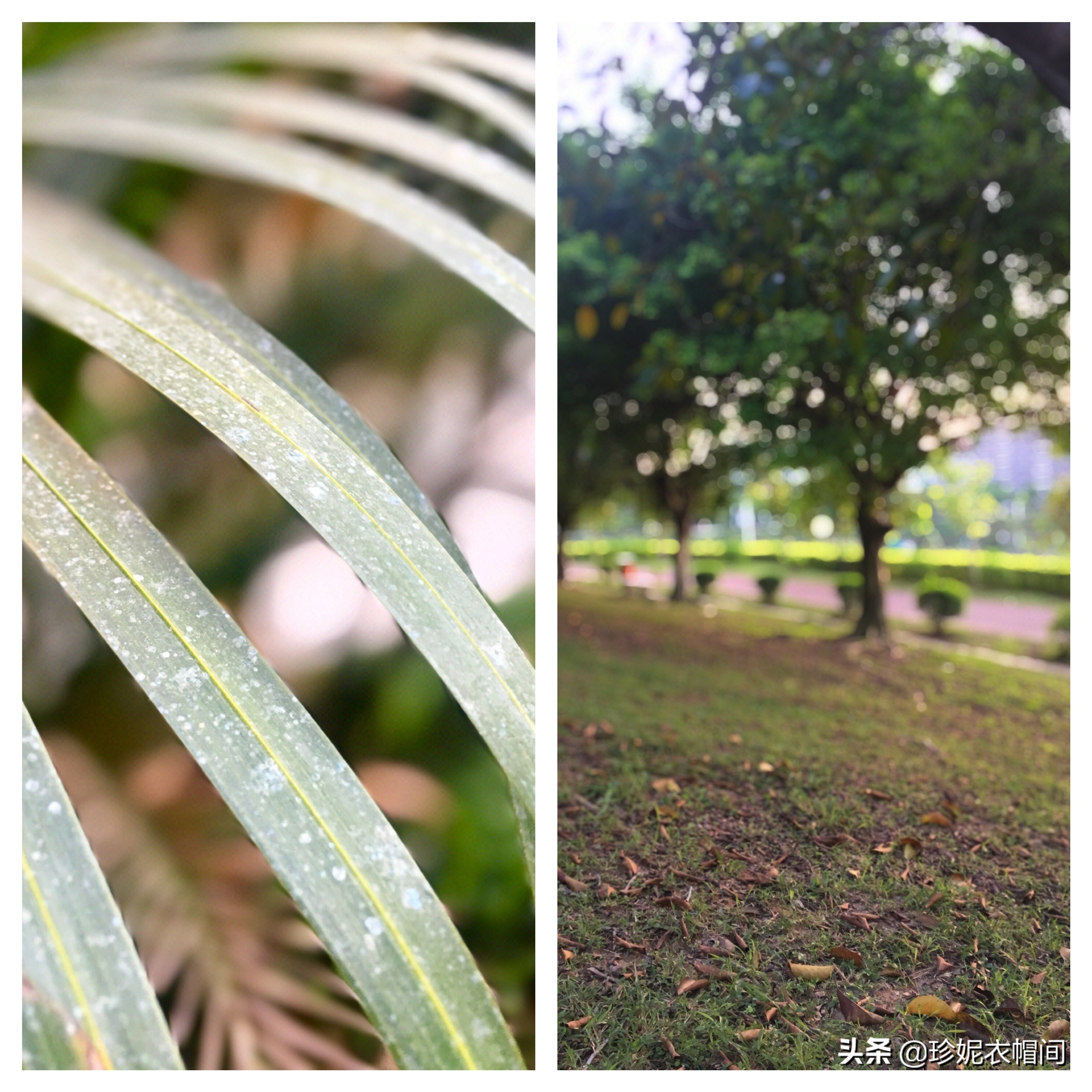 年轻人玩手机都玩什么软件,玩手机无聊怎么办推荐app