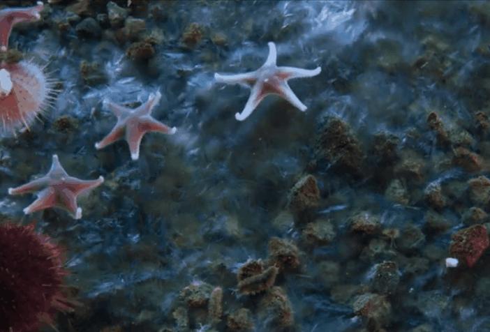 震撼的自然景象,震撼的自然现象云崩视频