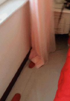 赌100袋辣条,赌十包辣条