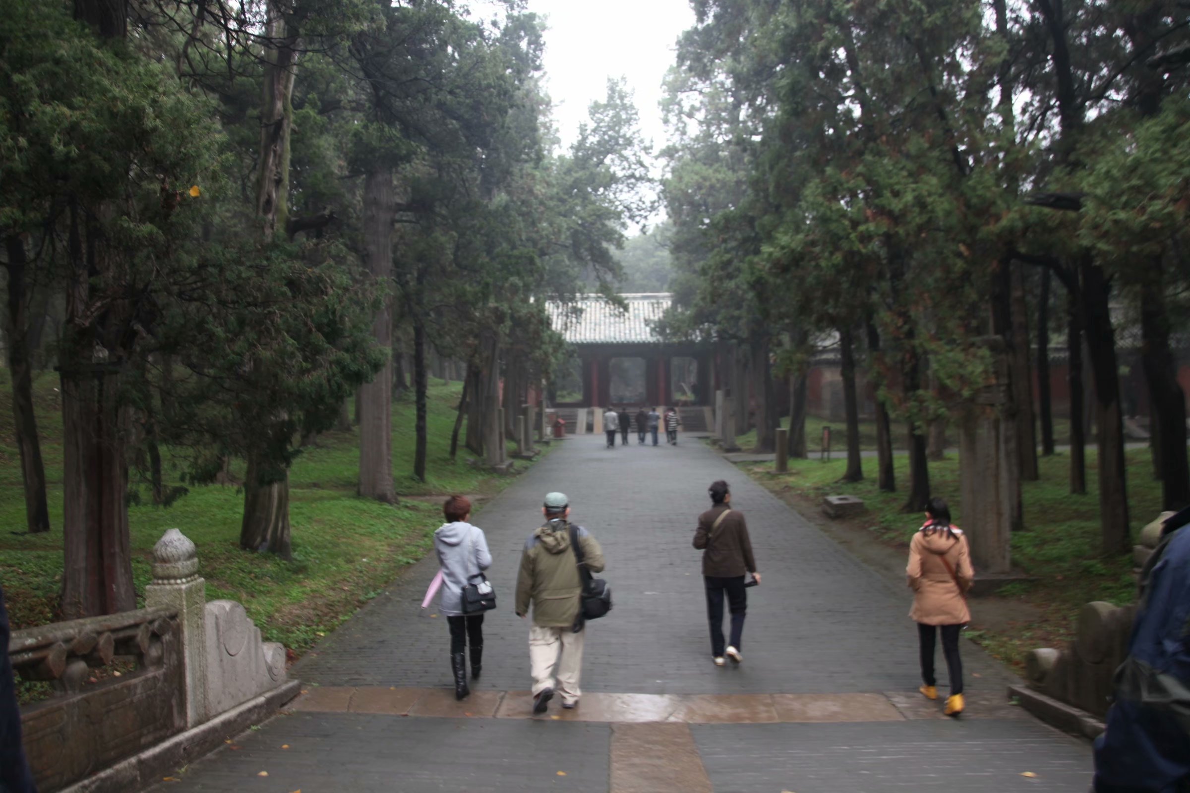 三孔在多少年被收入世界遗产名录,中国世界文化遗产三孔面积