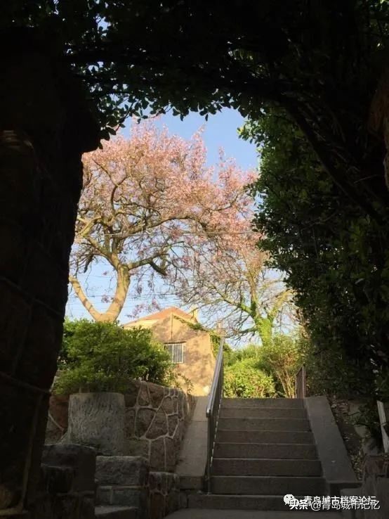 青岛中山路上著名的老街,青岛太平路街景