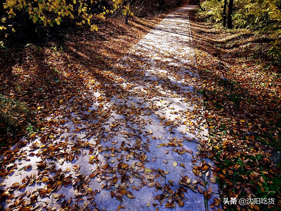 南昌五一周边野餐,五一放假别乱跑