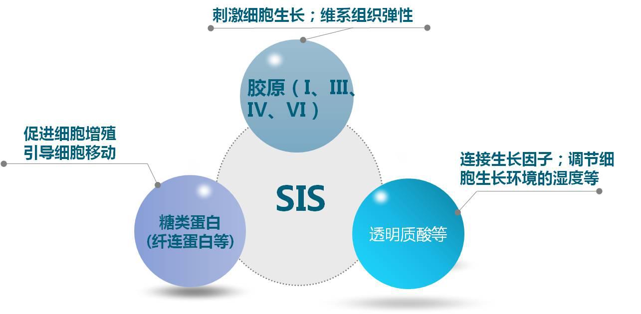保湿抗老修复型精华,美白保湿精致修复精华