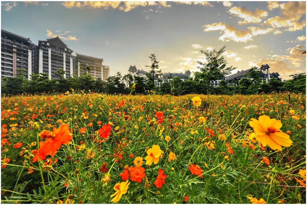 藏在广东的巴厘岛温泉酒店，深挖熹乐谷玩法，广州周边游