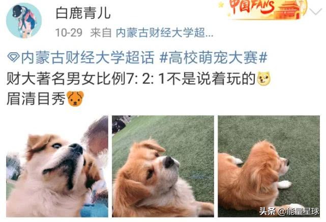 大学男女比例失衡太严重怎么办,中国大学男女比例失衡