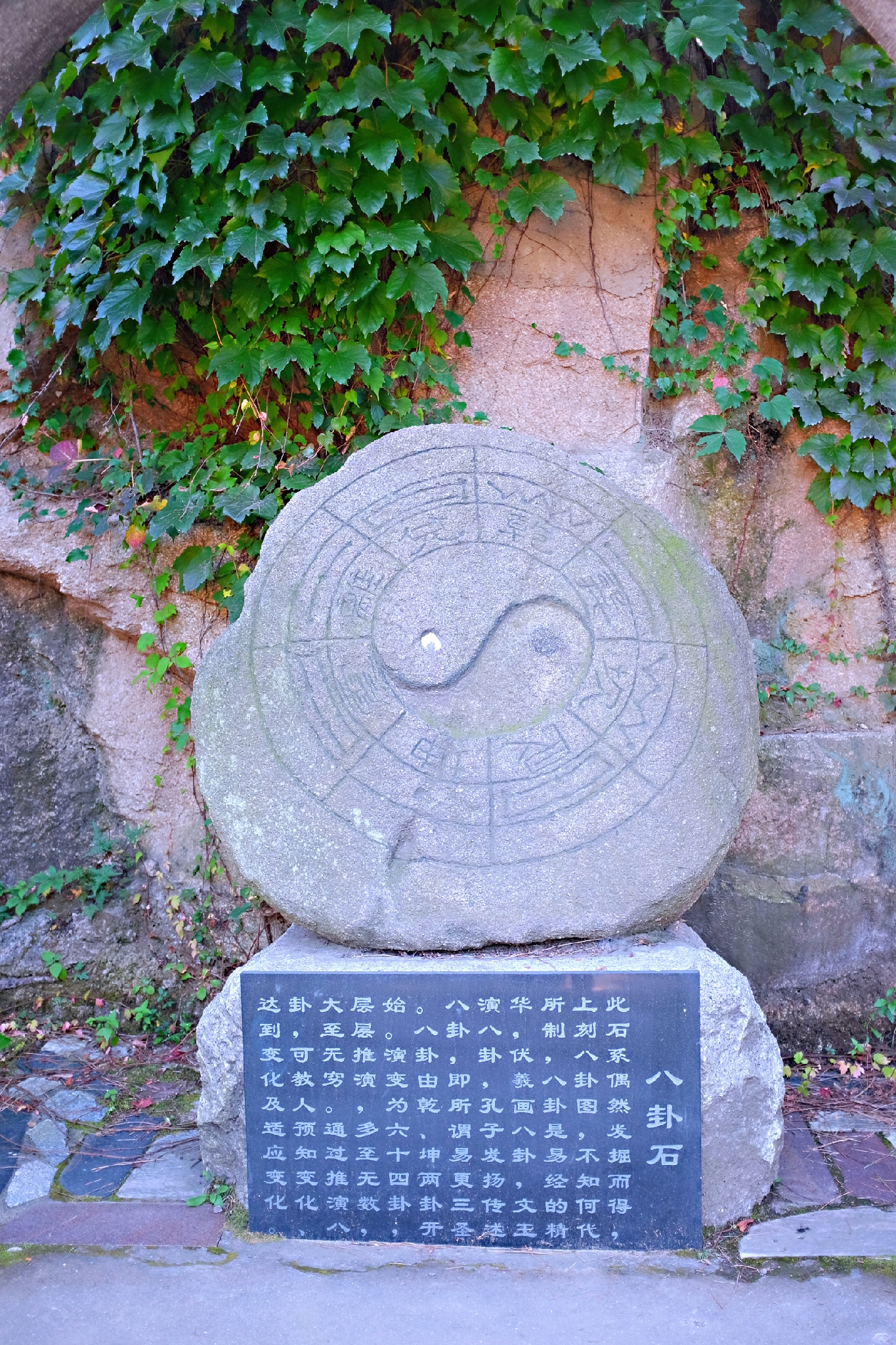 到了北戴河之后怎么去海滨浴场,北戴河怪楼奇园景区今天可以玩吗