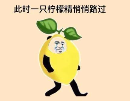 写作素材必备100个,写作必备素材摘抄100字