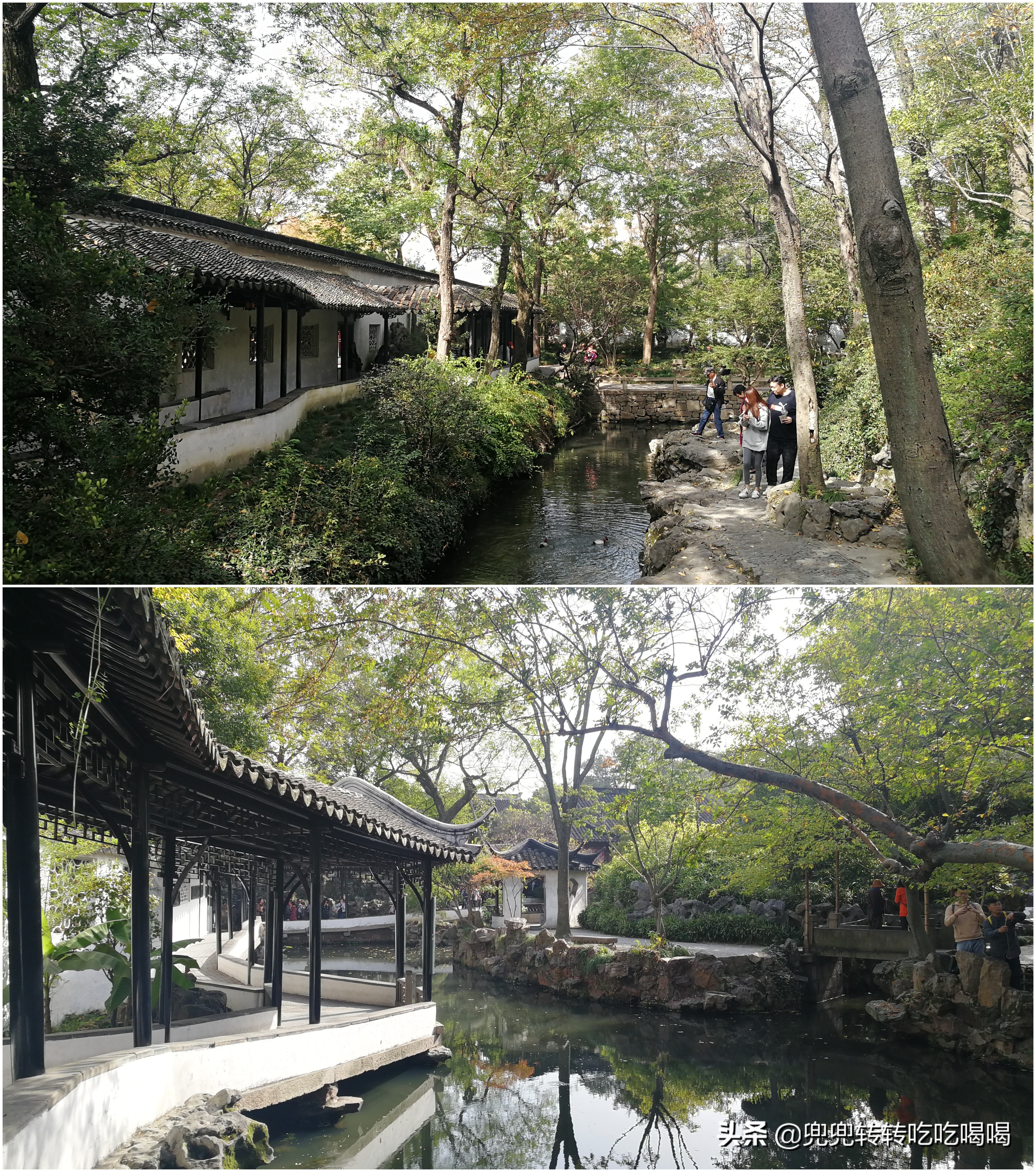 上海到苏州二日游详细攻略,上海往返苏州一日游