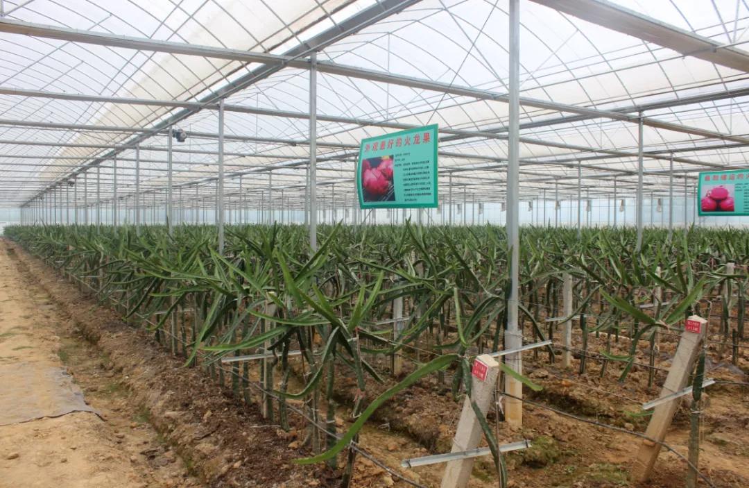 砥砺奋进新征程总结,乡镇乡村振兴先进事迹材料