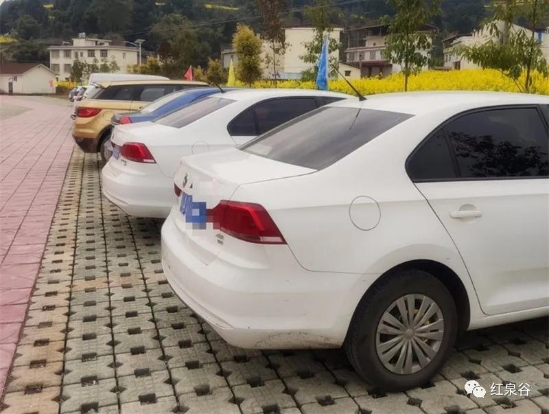 成都桃花花海,成都绕城周边花海