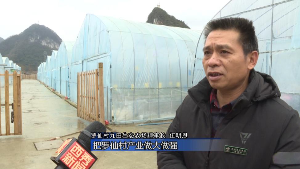 罗仙村最新视频,花都区罗仙村委