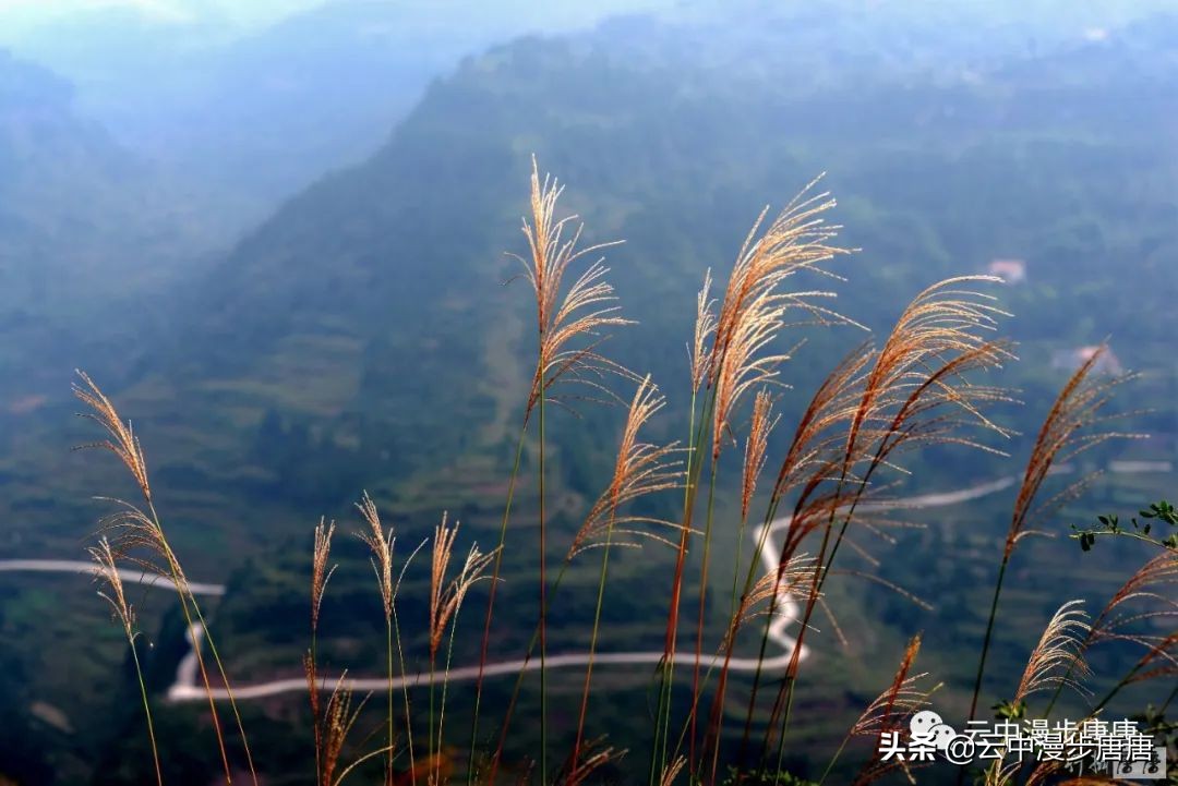 四川岳池黄龙水库,岳池黄龙杨家沟水库