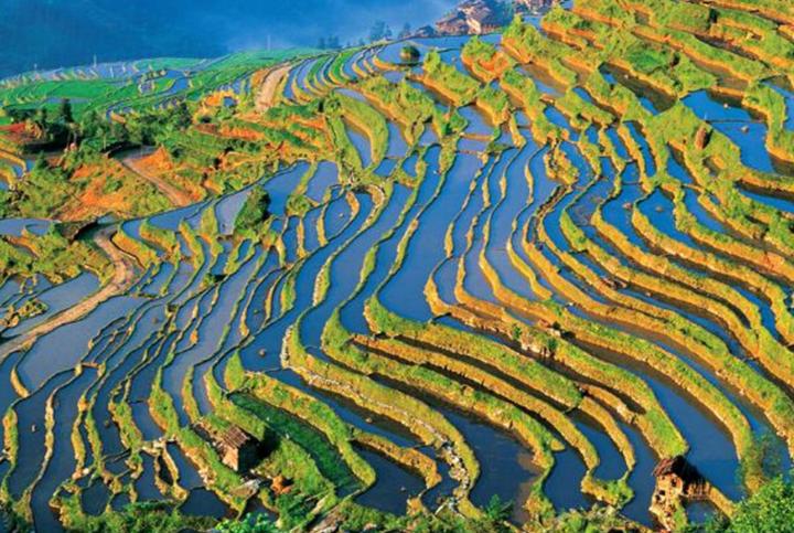 长寿之王龚来发,长寿之王龚来发终身未娶