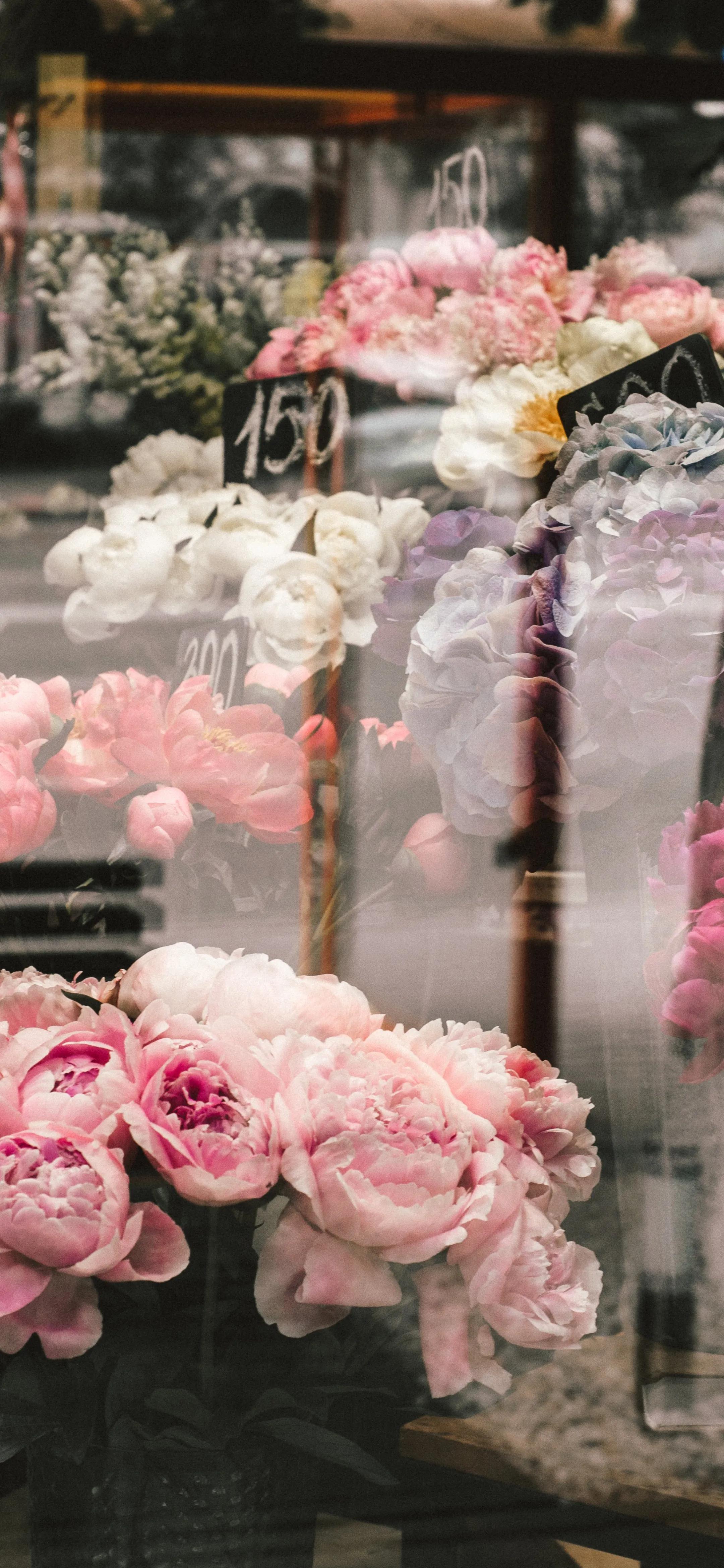 “千挑万选”手机高清壁纸