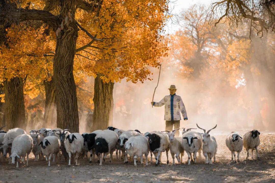 9月国内最美的10个最佳旅行地推荐,金秋十月寻找最美旅行地