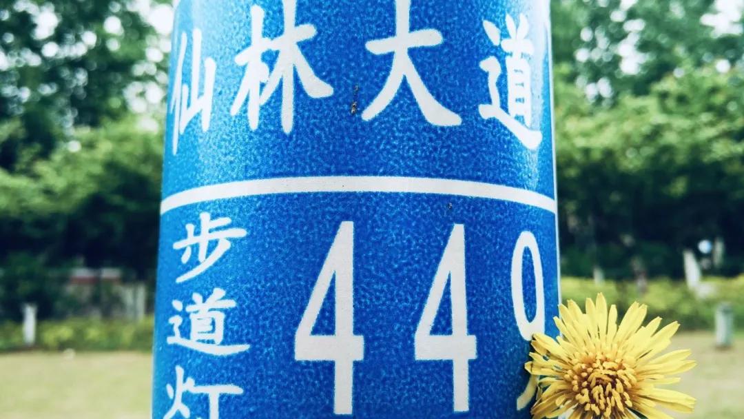 有一种幸福，叫在仙林上大学