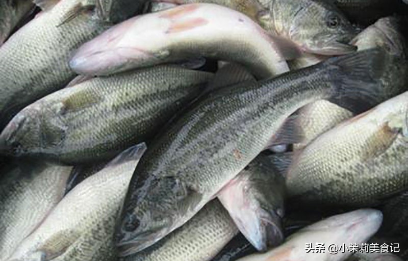 怎么区别海鲈鱼和淡水鲈鱼,买鲈鱼公的好吃还是母的好吃