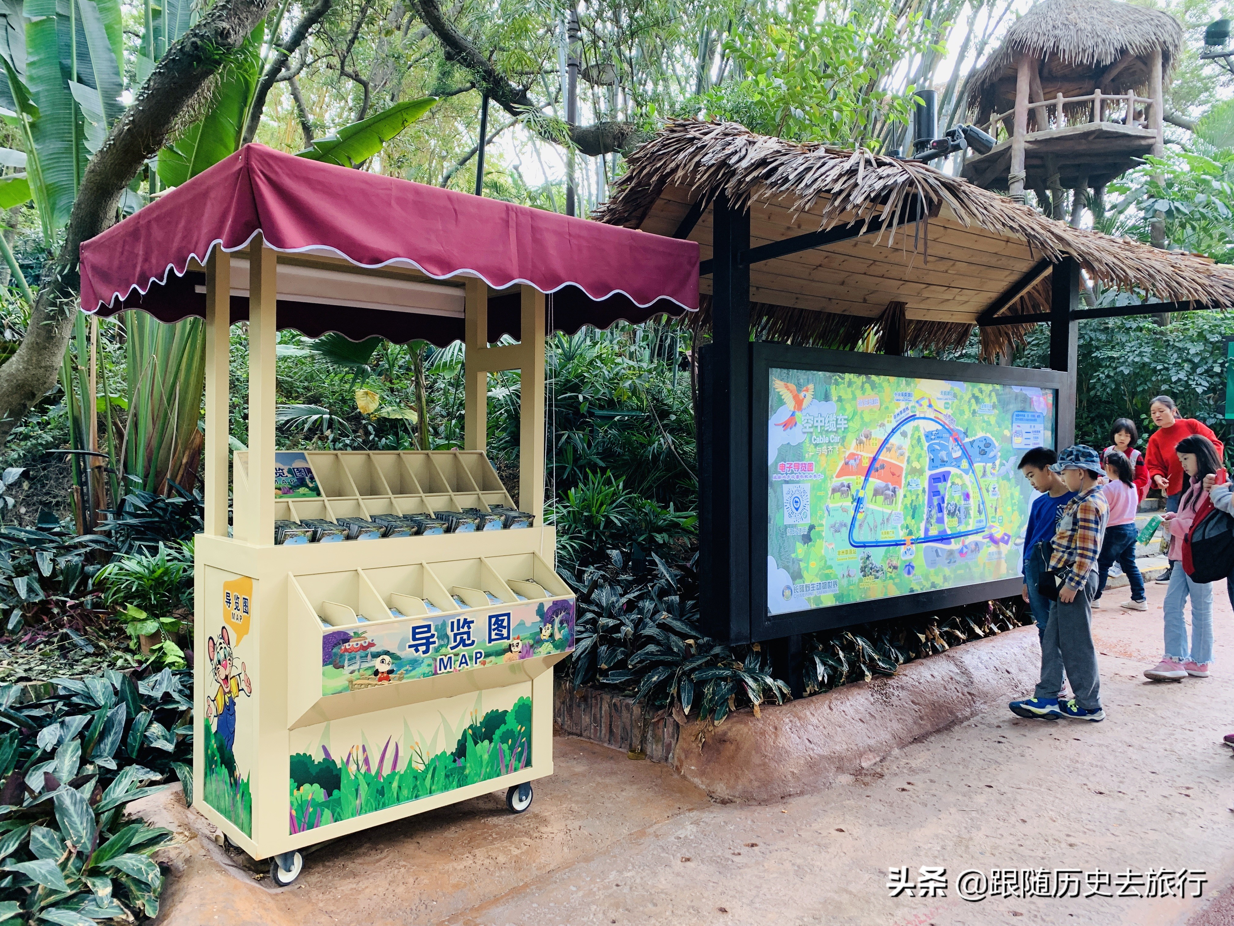 广州长隆水动物世界看大熊猫攻略,广州长隆动物园里的熊猫萌萌