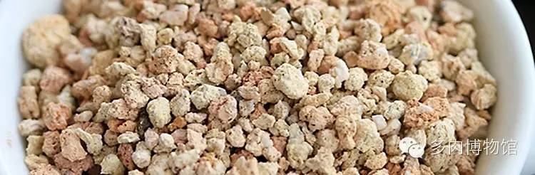 多肉用什么土长得快怎么配土,新手养多肉怎么配土最好