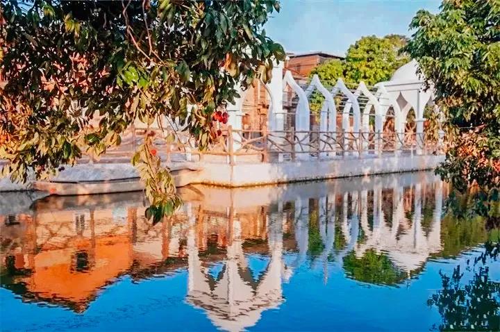 荔城无处不荔枝翻译,荔城无处无荔枝