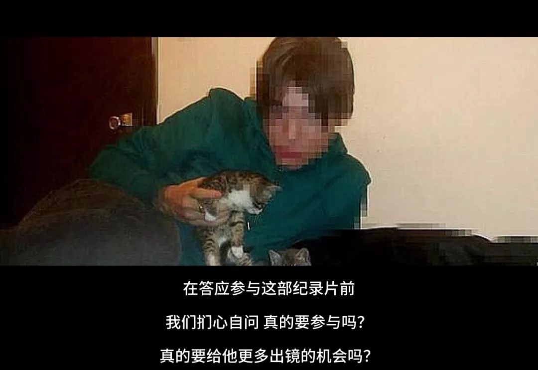 猫咪杀人案真实案例,猫咪被谋杀肢解抛尸案