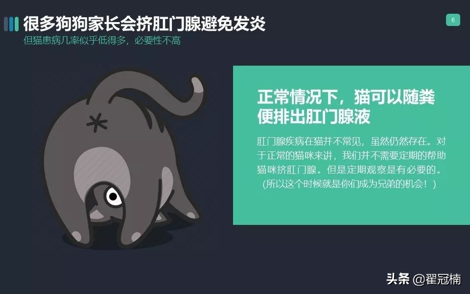 你家猫肛门腺那点事儿...挤?不挤?