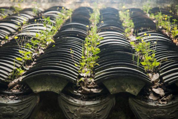 重庆旅游团报名价目表三日游,重庆周边三日自驾游最佳路线