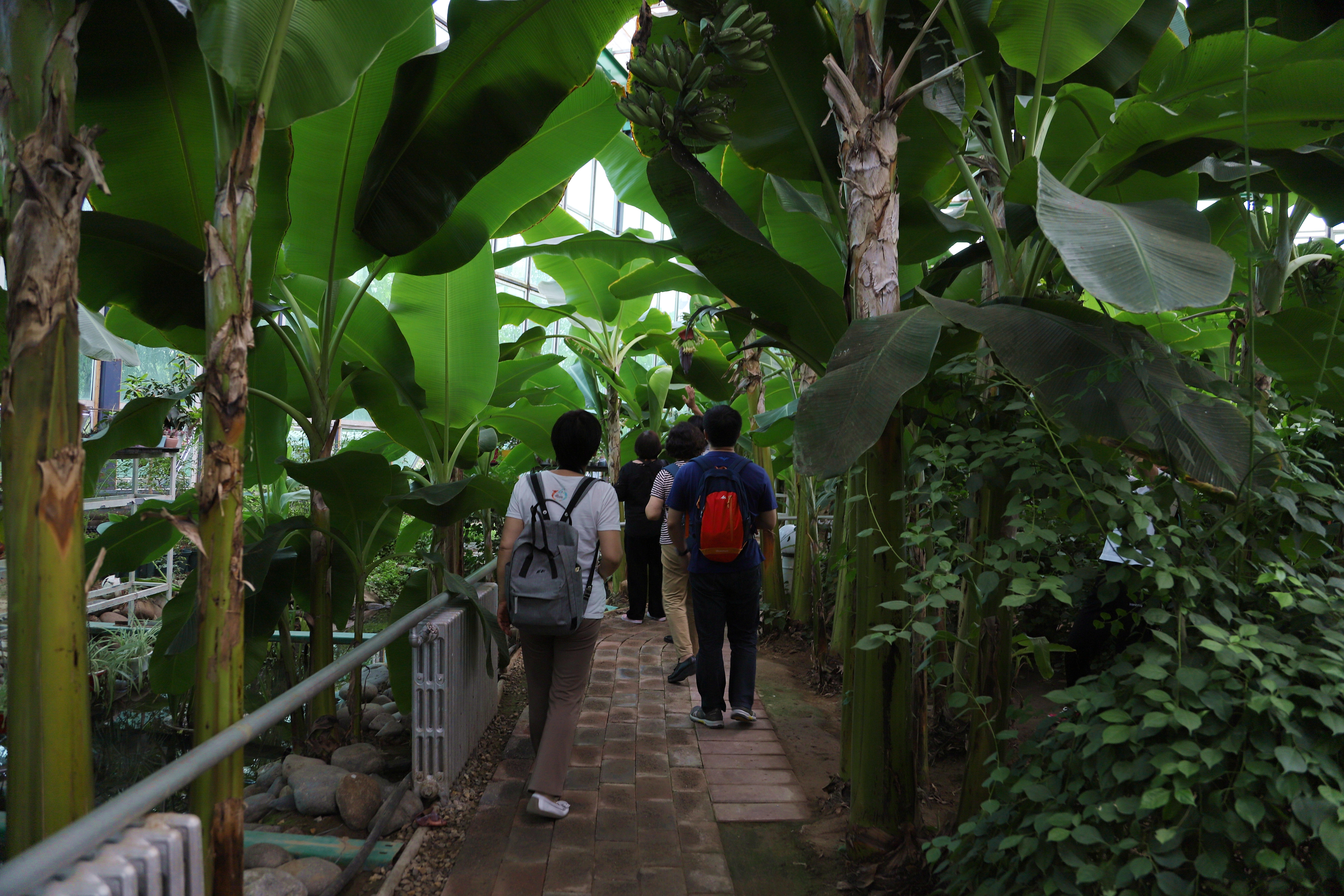 在心灵的栖息地遇见第五季