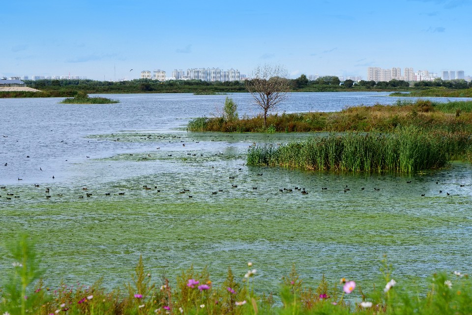 榻愰綈鍝堝皵瀚╂睙涓滄按鐝嶇鍏洯,榻愰綈鍝堝皵瀚╂睙涓滄按鐝嶇婀垮湴鍏洯
