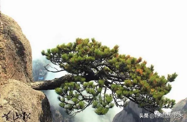 鎮礀缁濆閫㈢敓,鎮礀鐩嗘櫙澶у叏