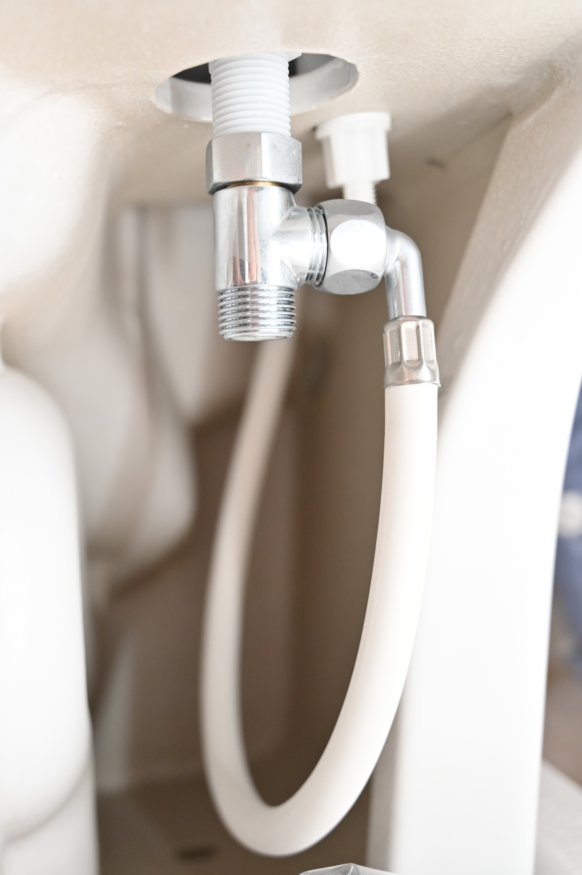 保卫菊花，从马桶做起——水鹿大鲸一体自动马桶使用感受