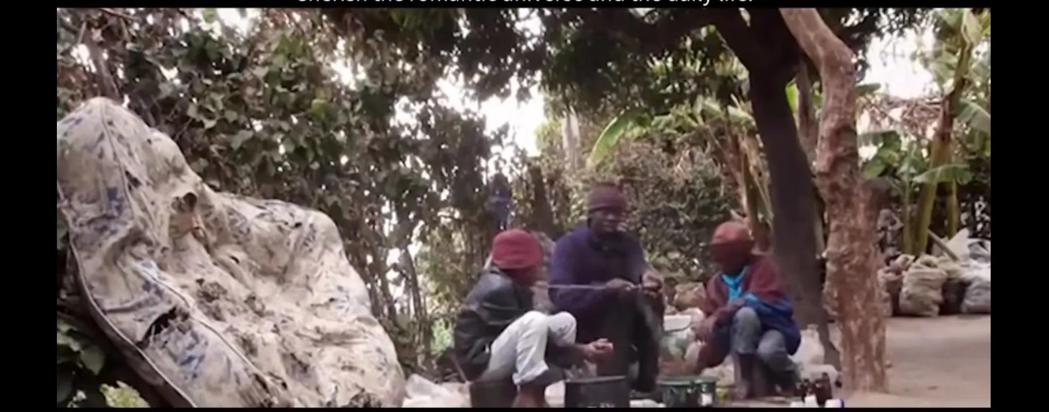 津巴布韦破产,津巴布韦151个孩子