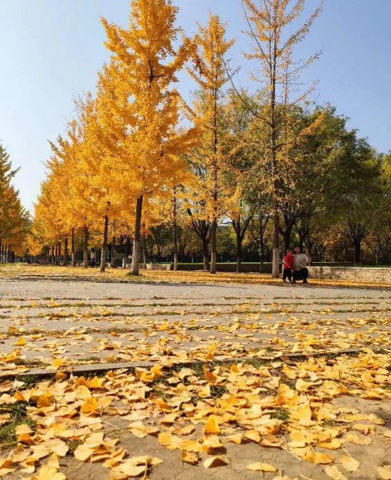 拿到中兴offer,拿到了中兴的ic的offer