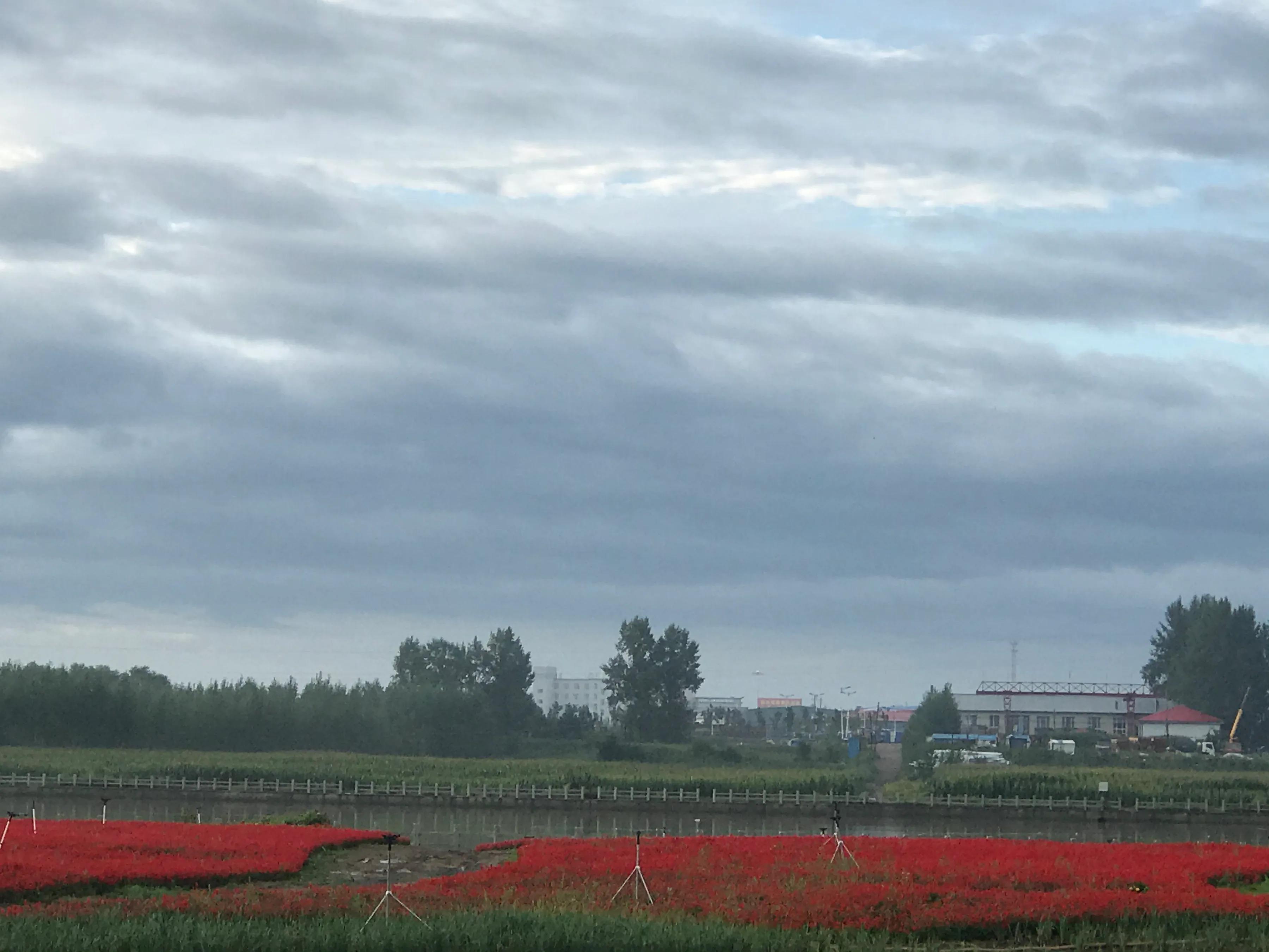 辉南街早市开了吗,辉南朝阳镇早市开门营业时间