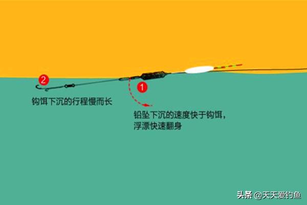 窝点有鱼不吃钩怎么办,钓鲤鱼守多久不咬钩换地方
