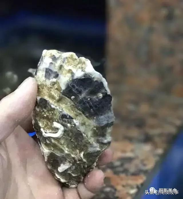 水煮贝壳类海鲜煮多久,海边海鲜用什么水煮好吃