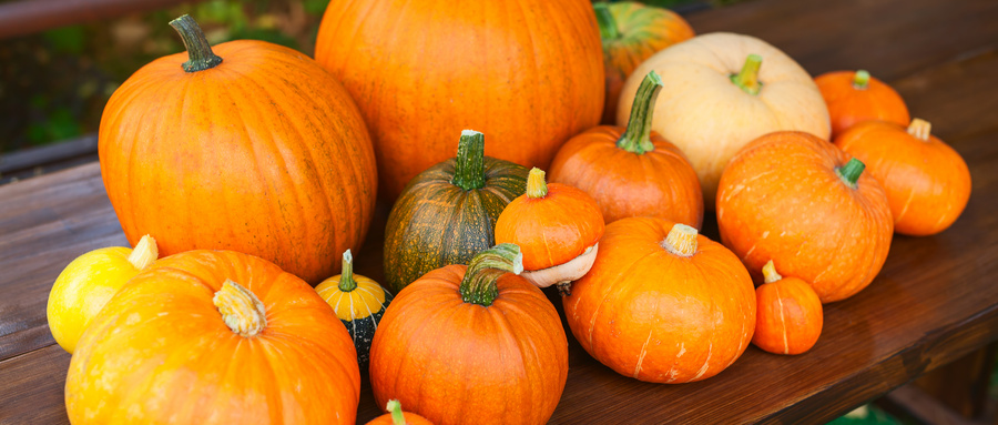 六种食物痛风患者可以安心吃,痛风不宜吃的四种食物