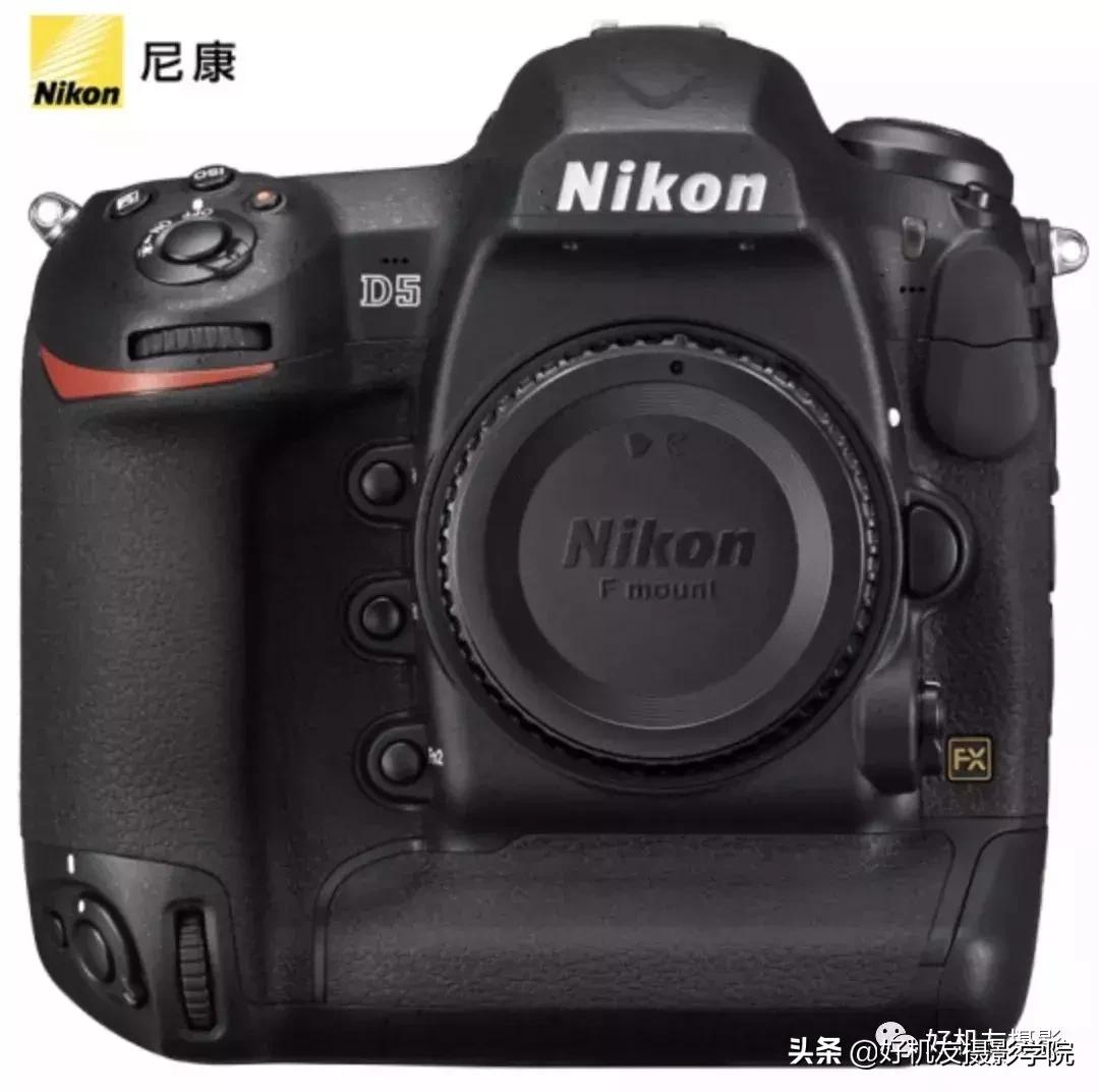 手机拍鸟镜头拍摄技巧,拍摄鸟片后期技巧有哪些