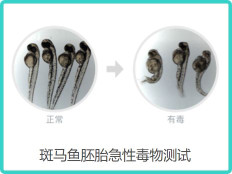 测18款美白精华,9款有效美白,但其中4款用了要出大问题?