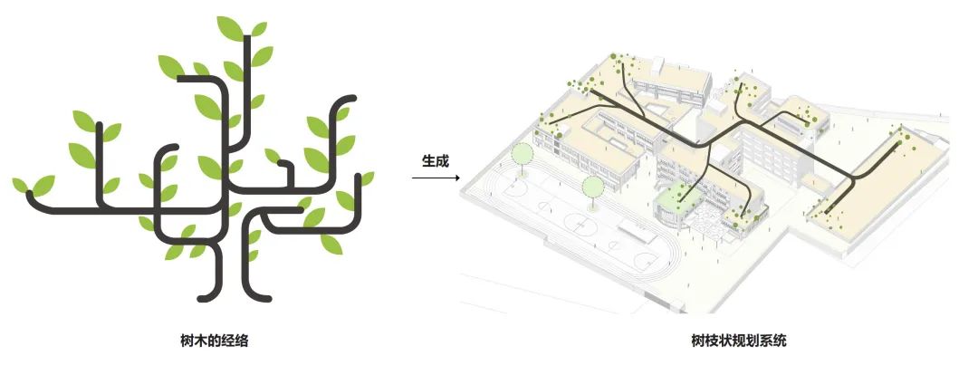 珠光路小学刚建时的照片,珠光小学现在变成什么样了
