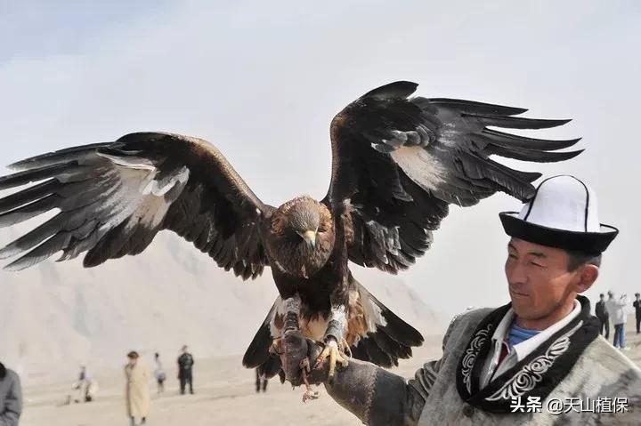 *疆新**克州,向全世界发出邀请!即将涌来大批人马