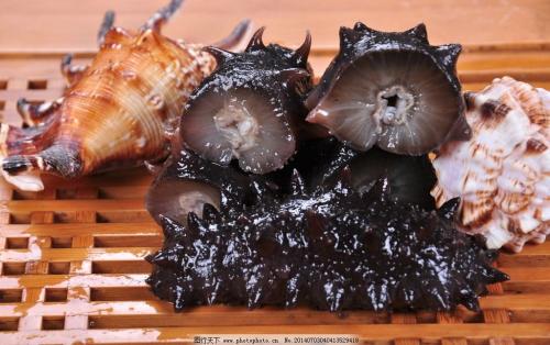 海参的含蓄说法 (做海参的一些套路)