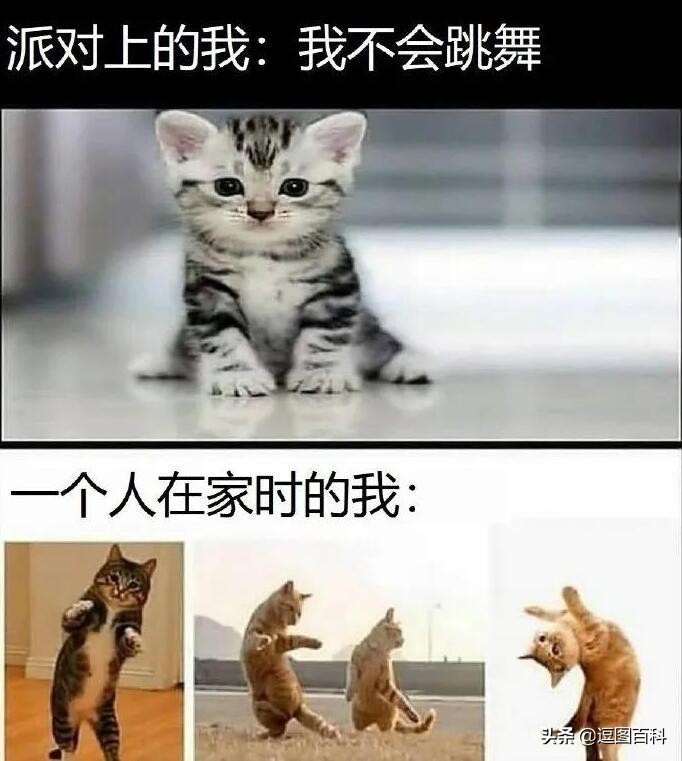 每日一笑二十四期,每日一笑深度解读