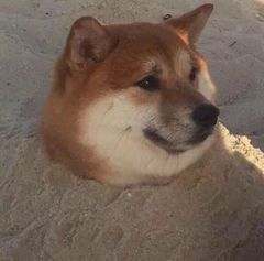 文都考研网课价目表,考研网课哪个比较靠谱