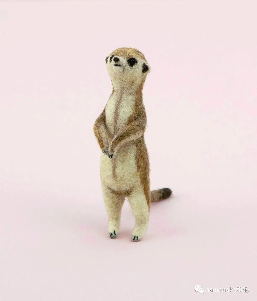 HAMANAKA新品合集｜动物毛绒控们的福音