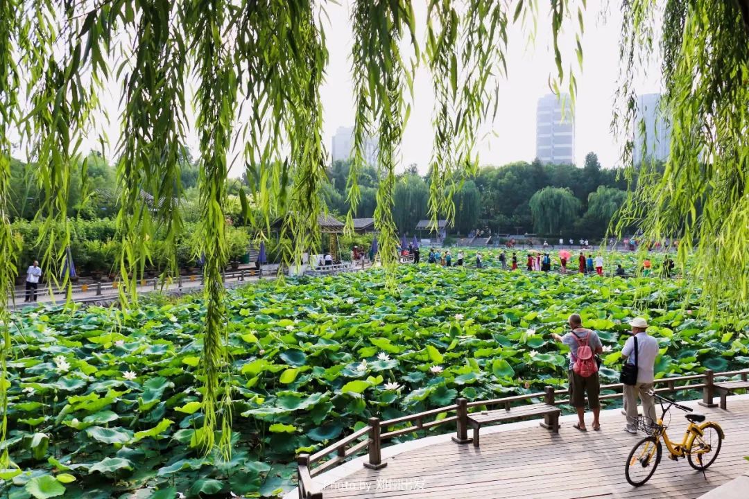 郑州发展的最新规划,郑州改名中州好吗