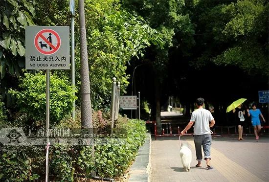 南宁市广场可以跳舞吗,南宁晚上广场舞最近视频